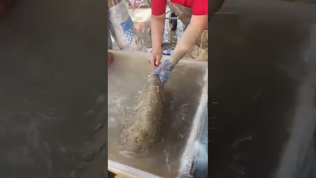 Лапша из картофеля. Китай. смотреть онлайн