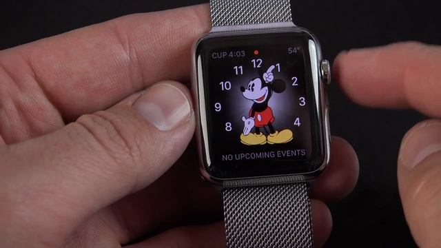 Apple Watch 42mm Milanese Loop Edition [4K]