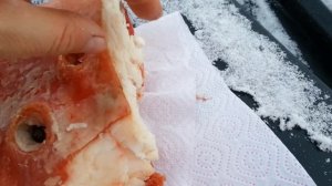 травматический пистолет по человеку-тест часть№ 2