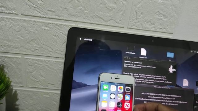 Icloud Bypass Meid cellular with best tool mina meid activator 1.8 смотреть онлайн