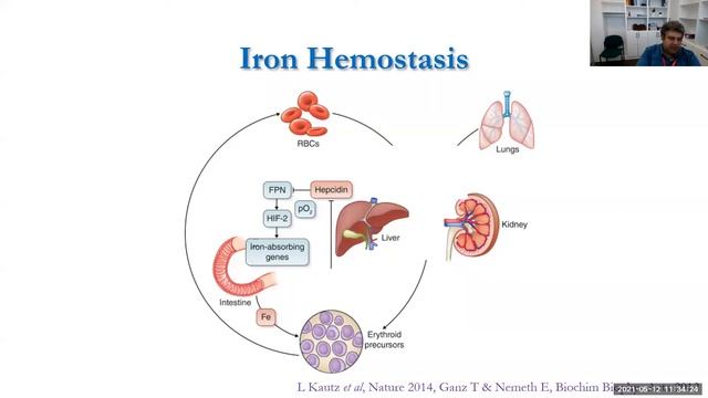 CBR Seminar: Dr. Ali Amid, May 12 2021