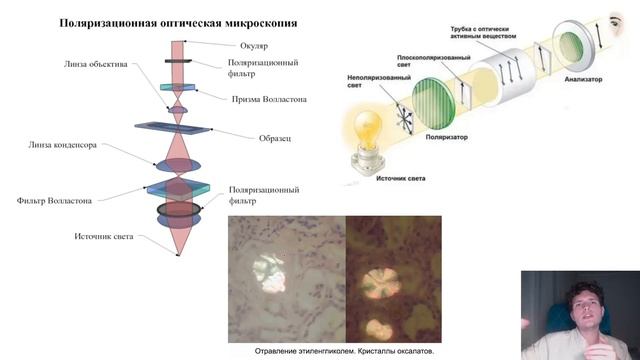 Экзамен по биологии | МИКРОСКОП смотреть онлайн