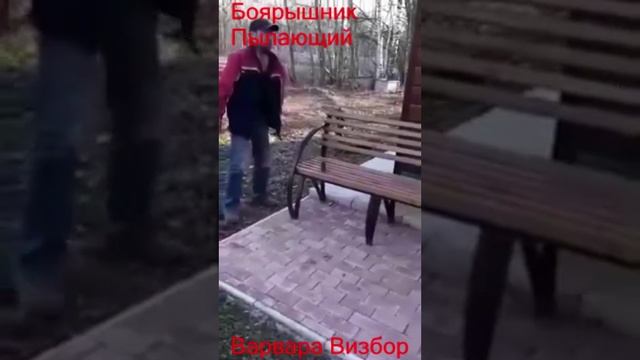 Боярышник Пылающий. Варвара Визбор.
