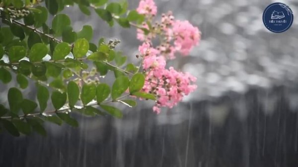 HAY QUÁ Cả xóm nghe quên ngủ trưa " MẢNH ĐỜI ĐẮNG CAY " Full - Tiểu thuyết Làng Quê 2024