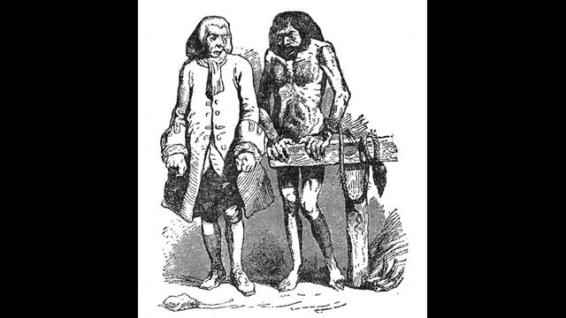 Гулливер в стране гуигнгмов Глава 02