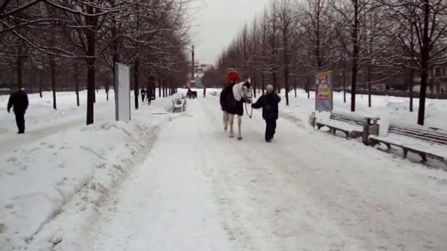 Катание на лошади по Цветному бульвару смотреть онлайн