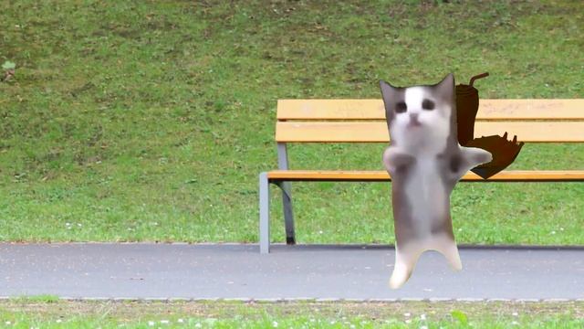 Banana Cat And Happy Cats Best Videos Compilation #bananacat #happycats