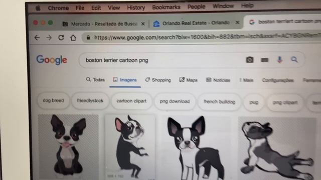 CUSTOMIZANDO CAPINHA DE IPHONE COM CANETA 3D NA ESCOLA!! Com Erros de Gravação!! смотреть онлайн