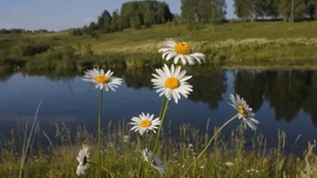 Валерий Мазманян, Перевязав полоской алой, заря несла в подарок лето, муз. и исп. #СамуилФрумович смотреть онлайн