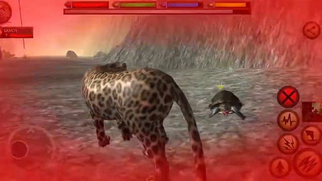 Leopard vs Lion,Tiger,Elephant,Crocodile,Panda,Warthog,Anaconda,Hippo, Ultimate Jungle Simulator смотреть онлайн