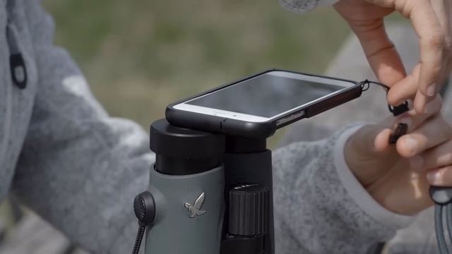 SWAROVSKI OPTIK – How to set-up the PA-i6 digiscoping adapter for iPhone ®* 6 смотреть онлайн