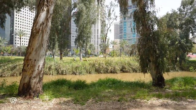 ABNORMAL HEAT in ISRAEL. Hayarkon Park, TEL AVIV смотреть онлайн