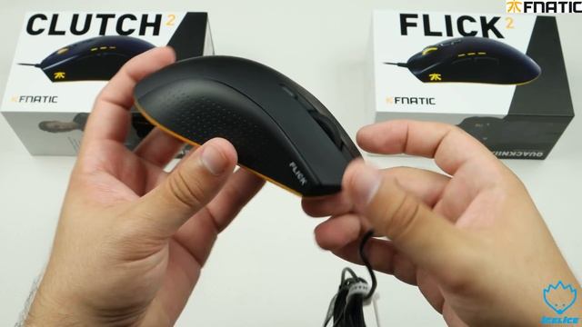 FNATIC Flick 2 + Clutch 2 - Unboxing & Kurzreview смотреть онлайн