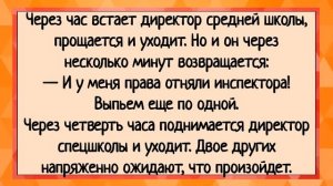 Как зять попутал и засандалил теще в... Сборник свежих анекдотов 2024!