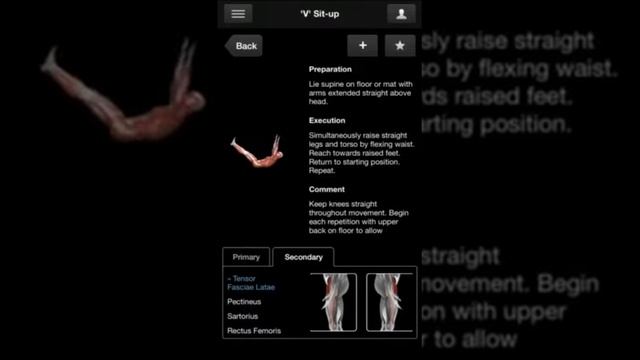 iMuscle2- Instructional Review смотреть онлайн