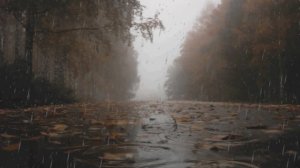 Наггетсовая Депрессия