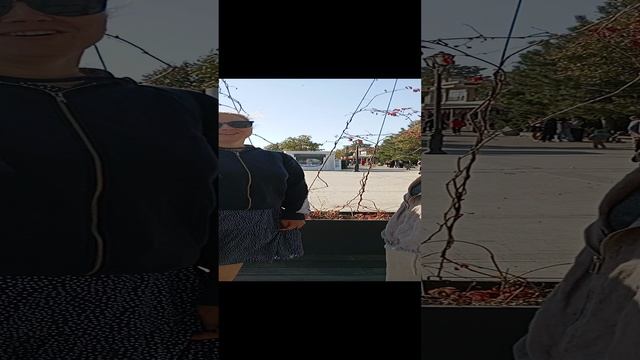 парк.mp4 смотреть онлайн