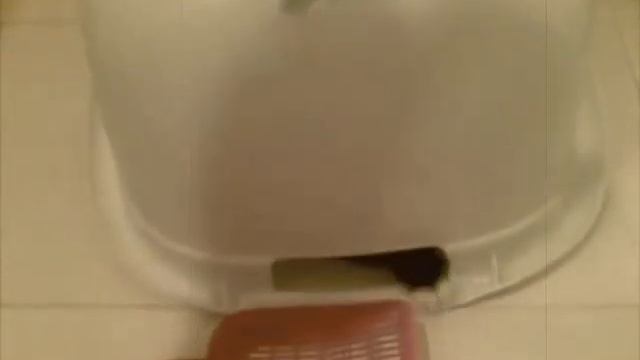 «Мой Танк» из серии «Кошачий дневник» смотреть онлайн