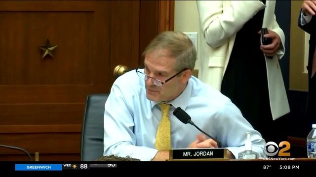 Google, Facebook, Amazon, Apple CEOs Testify Before House Judiciary Antitrust Subcommittee смотреть онлайн