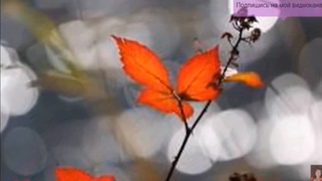 Ноябрь седеет на глазах..., Стихи М. Шадуя Корсак, муз. и исп. #СамуилФрумович смотреть онлайн