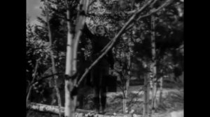 ПЕСНИ СОВЕТСКОГО КИНО Беспокойное хозяйство