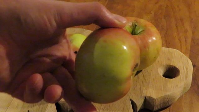 Northern Spy Apples: Harvest, Taste Test and Why You Should Grow Them! смотреть онлайн