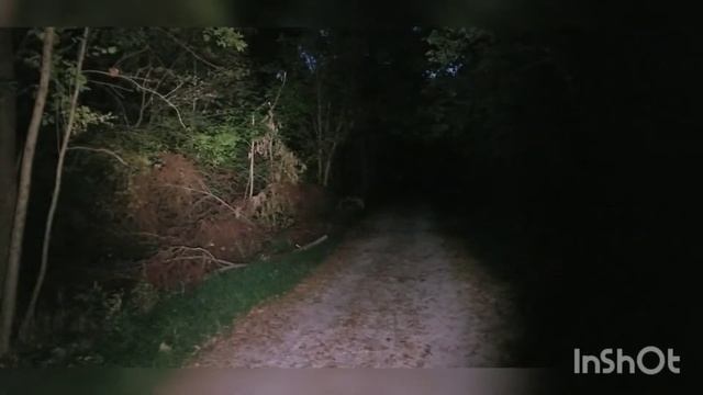 Nichia 519a Convoy S2+ 4500k beamshot in woods смотреть онлайн