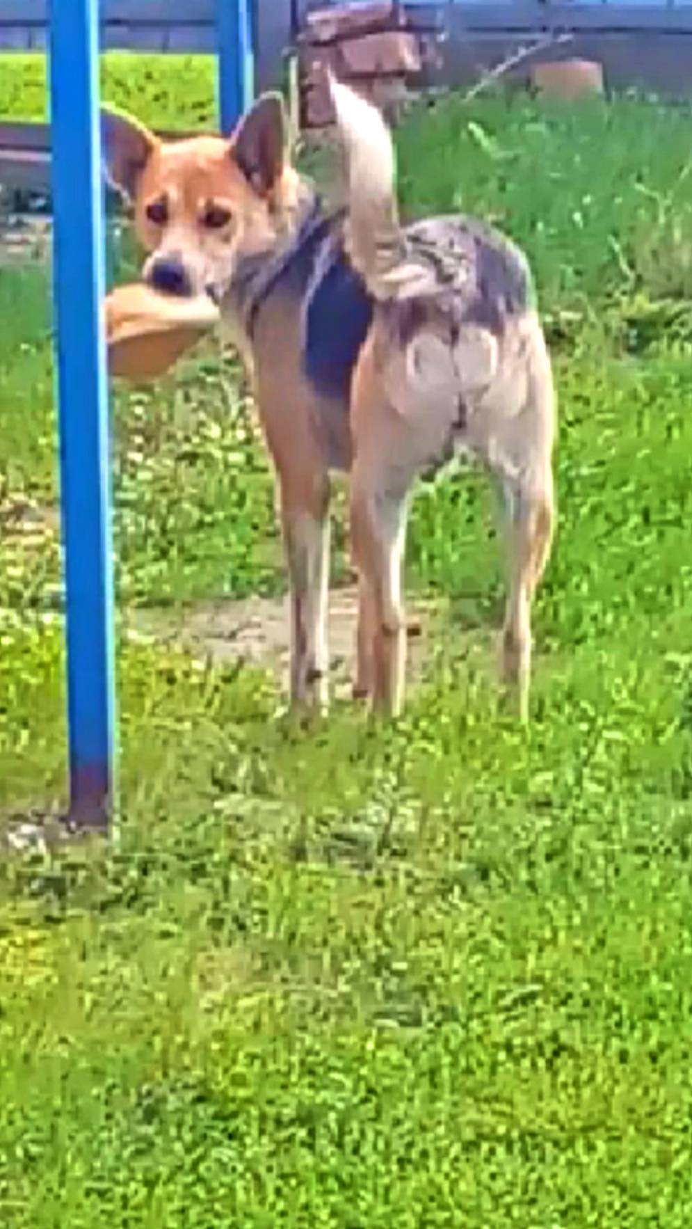 Незваные гости. Обещали вернуться смотреть онлайн