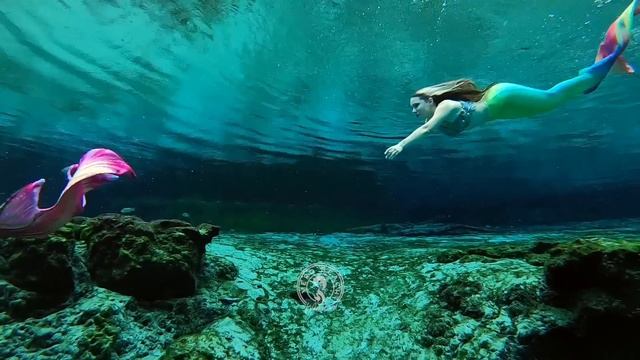 SWIMMING WITH MERMAIDS смотреть онлайн