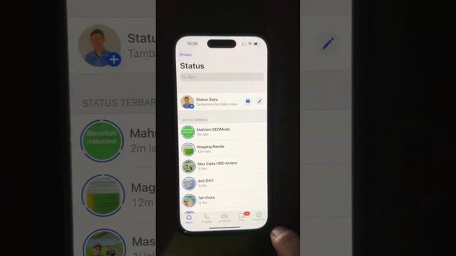 iPhone 14 Pro Screen Issue (Flickering/Blinking Problems after see HDR Content) смотреть онлайн