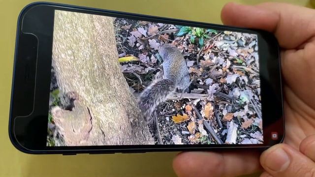 iPhone 12 mini | Exactly After One Week | Positive or Negative смотреть онлайн