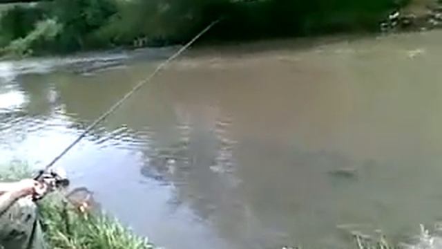 Ибар Напад Кедера смотреть онлайн