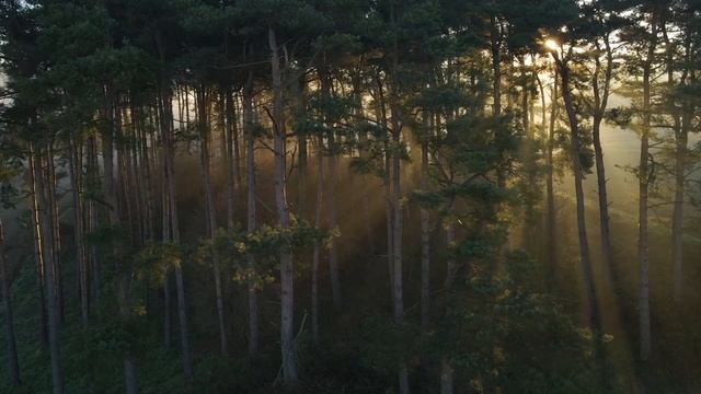 Когда они нашли пропавшую девочку, то не поверили глазам! смотреть онлайн