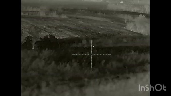 Охота на шакала как она есть, бывает удачная, а бывает не очень