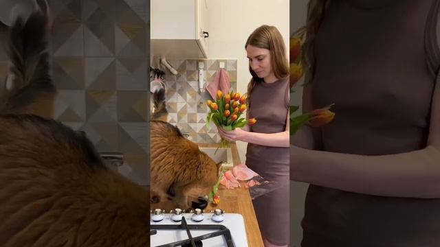 POV: Ты получила доставку весны на дом #цветы #распаковка смотреть онлайн