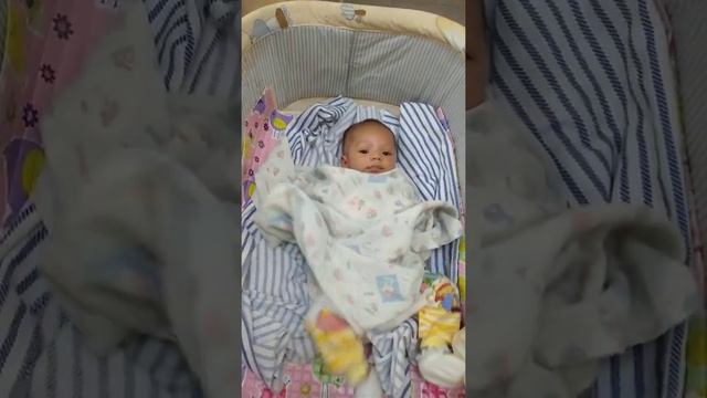 Dion Eli BB смотреть онлайн