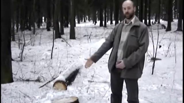 Деревья вырубаются в Петрозаводске смотреть онлайн