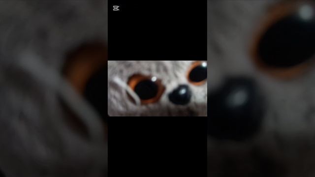 БАСИКИ ВЛОГ! НЕ УЖЕЛИ НОВЫЙ УЧАСТНИК КАНАЛА!?