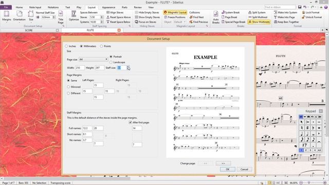 Sibelius Pro Document Setup смотреть онлайн