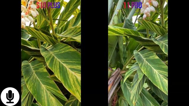 IPHONE 11 PRO VS GALAXY S10 PLUS, COMPARATIVO DE CÂMERAS 📸 смотреть онлайн