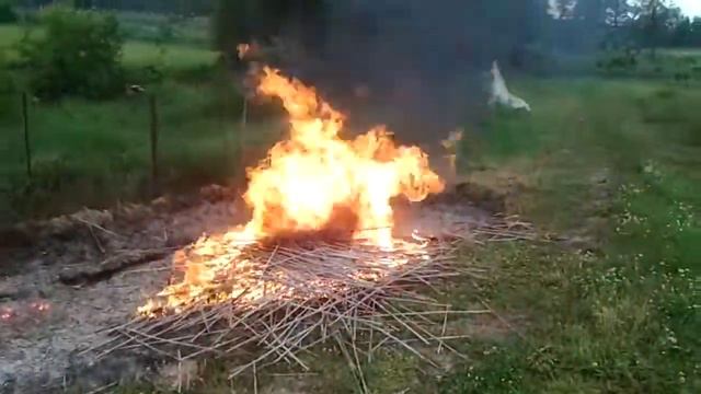 Горящий бамбук смотреть онлайн