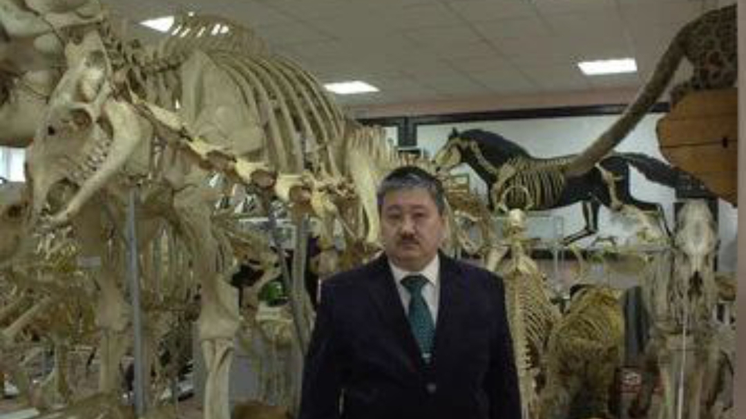 Черепные нервы 2 - 15-я гр 2024