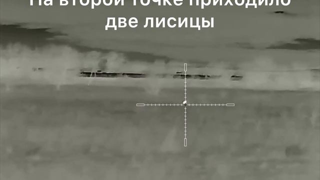 7. Охота на шакала в Волгоградской степи с карабином Kurbatov R-715 и прицелом Iray Saim SCT 35v2 смотреть онлайн