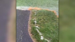 За Секунду ДО! Эти Случаи Повезло Снять На Камеру