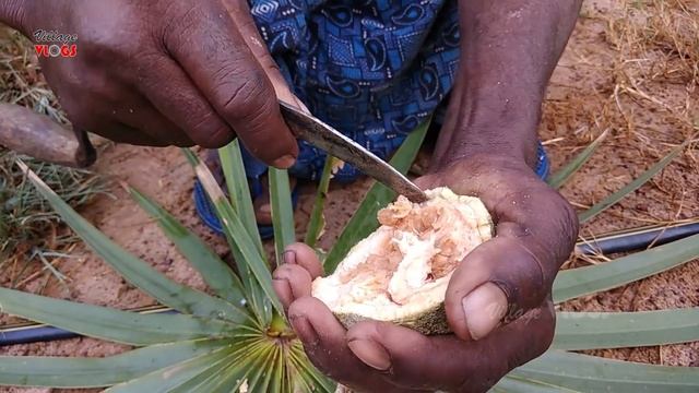 Farm Fresh WOOD APPLE Cutting And Eating In My Village Life in Nature | How to Cut Velakkaya смотреть онлайн