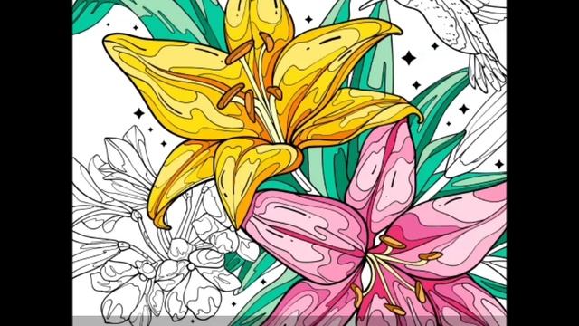 Раскраска Цветы лилии. Арт терапия.  Раскраски антистресс для взрослых и детей.