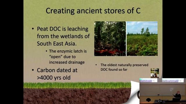 Can we ‘engineer’ peatlands to save the planet from global warming? | Public Lecture смотреть онлайн
