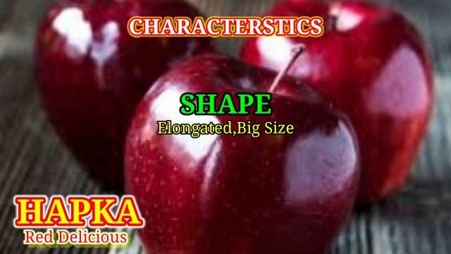 Hapka Red Delicious Apple Variety (Review)|Characterstics of Hapka Apple Variety|MSC Apple Orchards смотреть онлайн