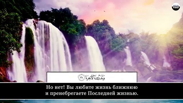 Чтец: Валид Абу Мухаммад, сура "Аль Кияма" смотреть онлайн