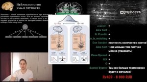 Нейробиолог про различия между мозгом умного и глупого человека.